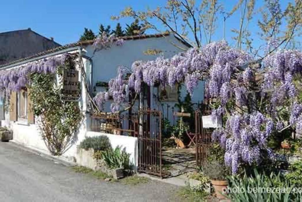 Maison Coquelicots - 4 Personnes - Jardin Mornac-sur-Seudre المظهر الخارجي الصورة